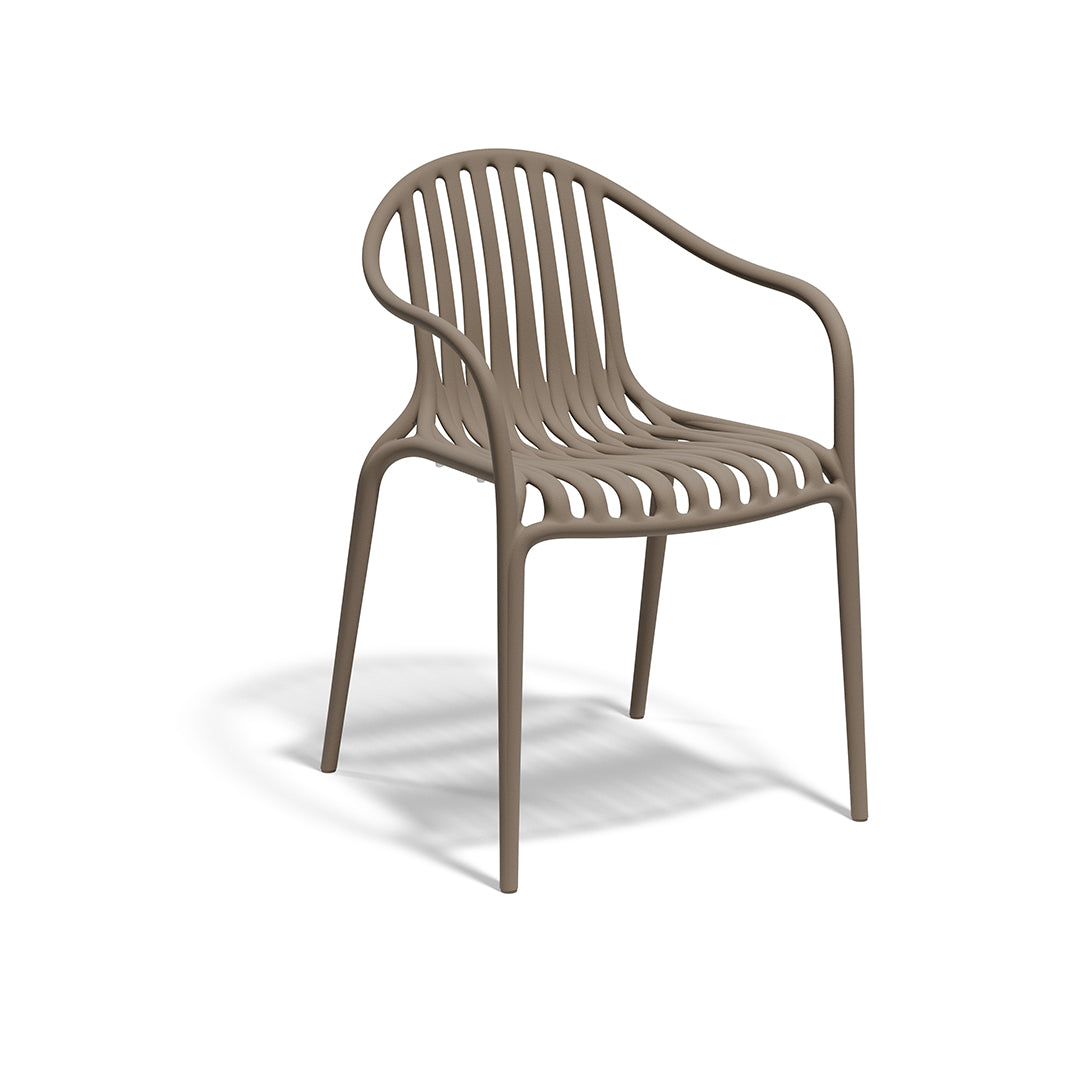 PALM CHAIR image 4