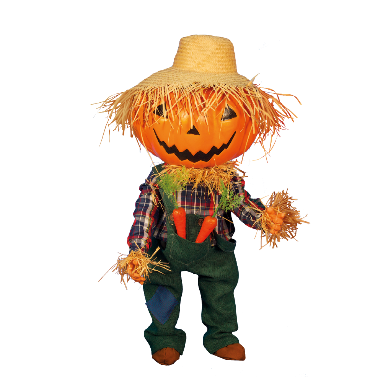 Halloween gresskargutt