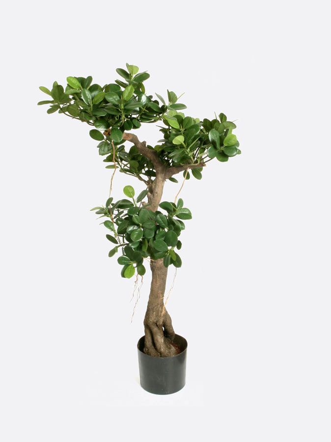 Kunstig fikentre panda 140cm