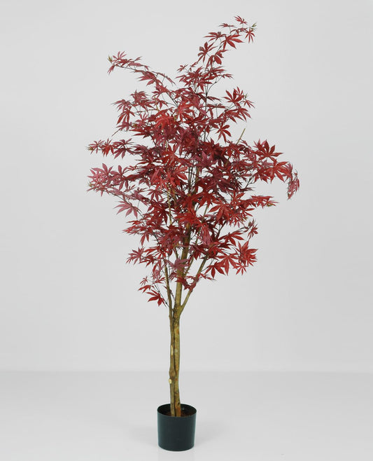 Kunstig japansk lønn 140cm