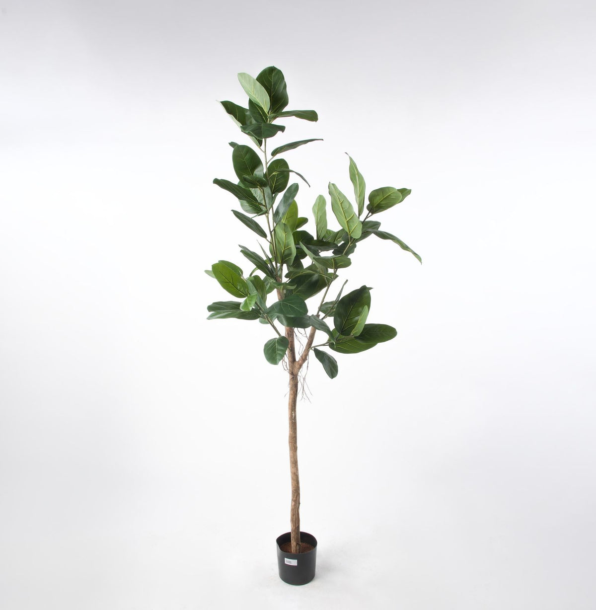 Kunstig fikentre audrey 140cm