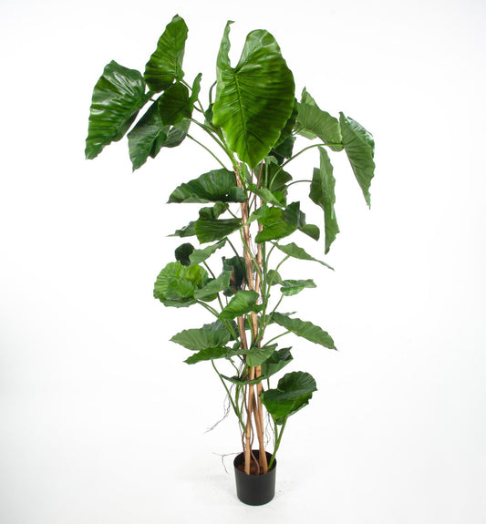 Kunstig alocasia calidora 170cm
