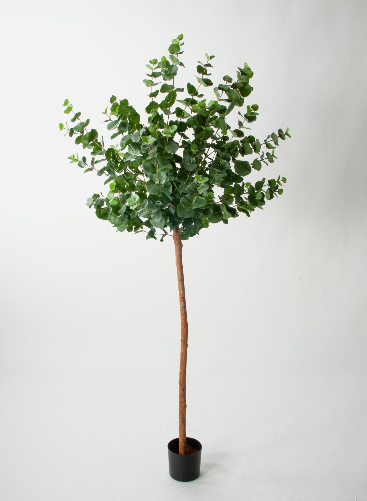Kunstig eukalyptus kuletre 170cm