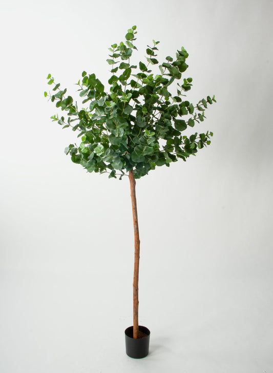 Kunstig eukalyptus kuletre 170cm