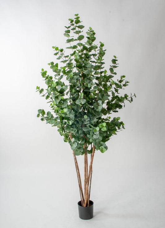 Kunstig eukalyptus 170cm
