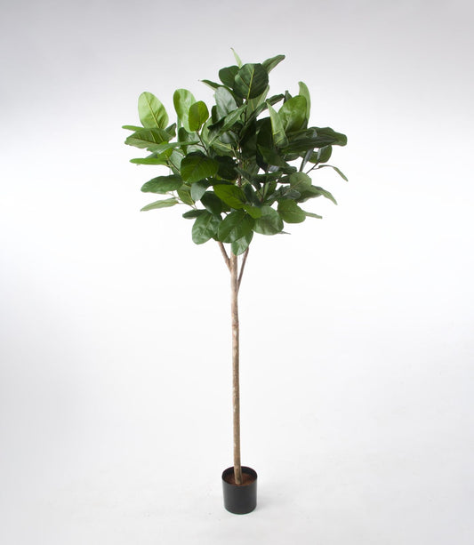 Kunstig fikentre audrey 200cm