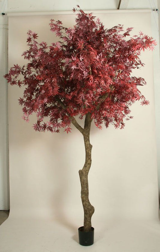 Kunstig japansk lønn 350cm