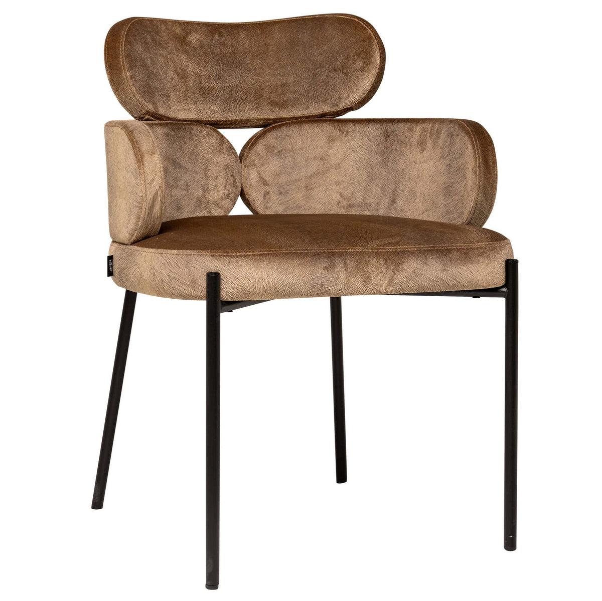 Ava Armchair - KAJA