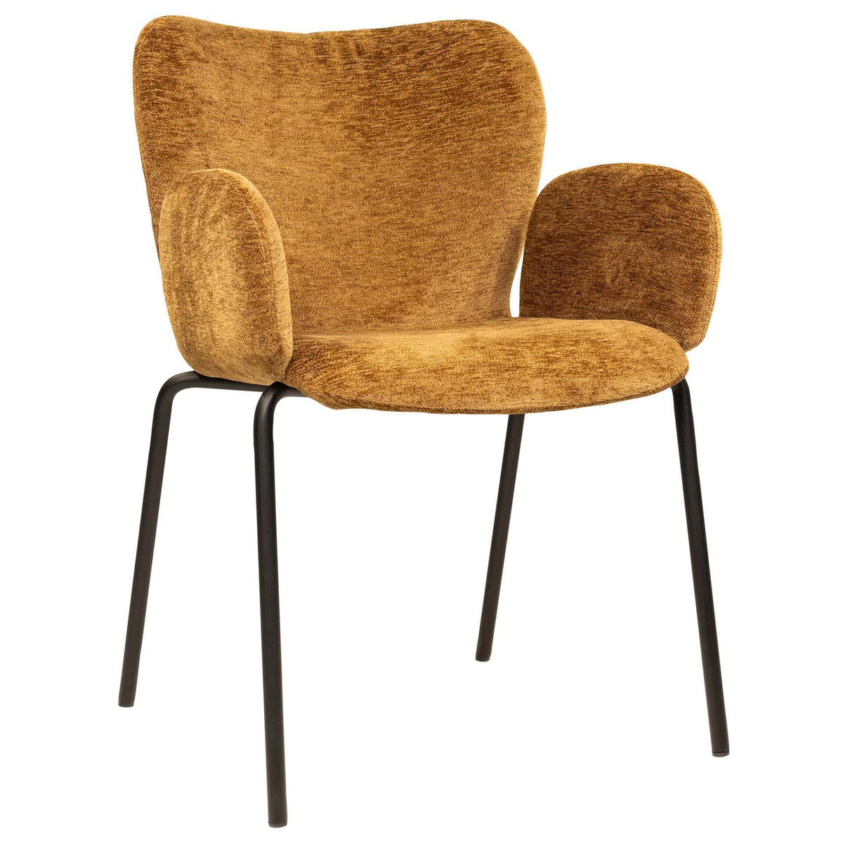Collara Armchair - KAJA