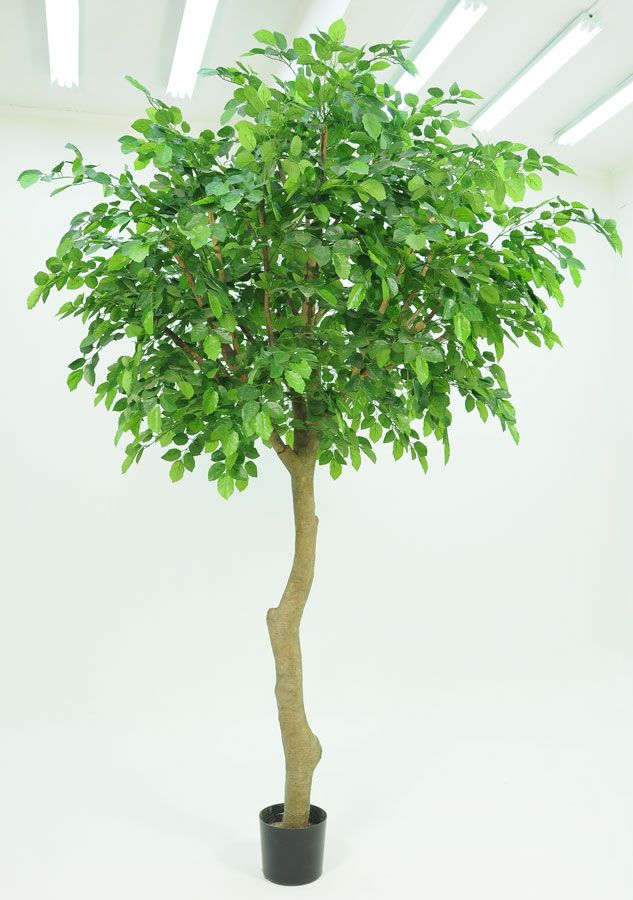 Kunstig bøketre 350cm