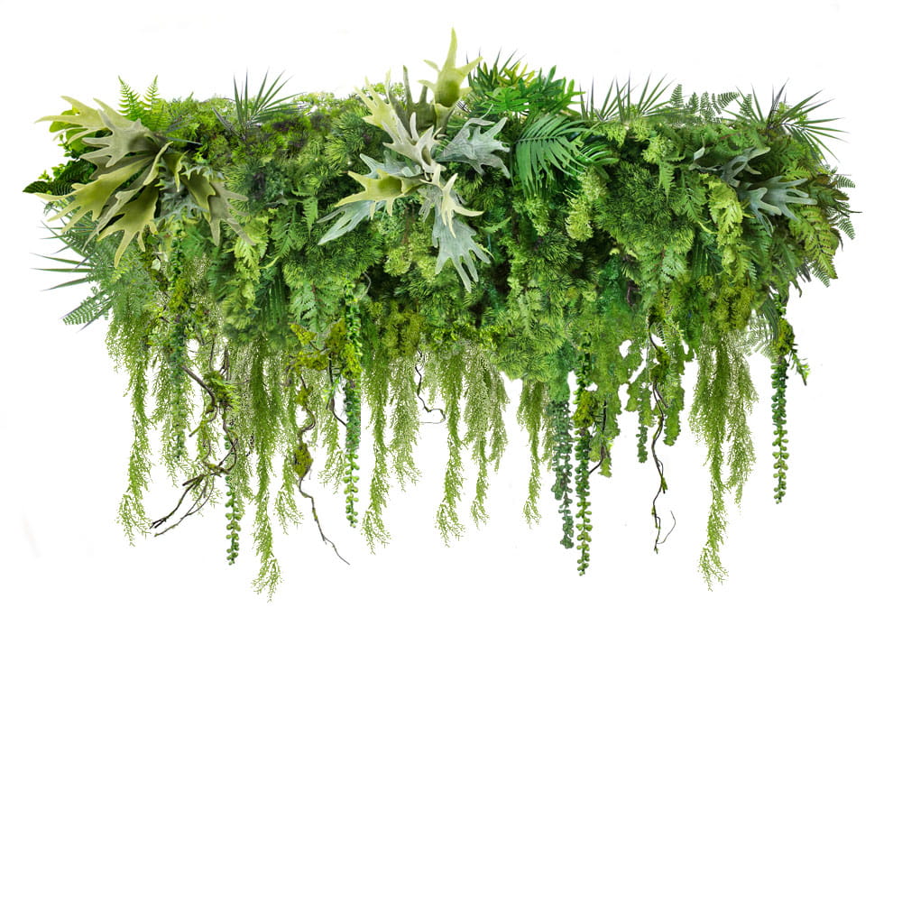 Takring  Forest Scent S-Ø50cm