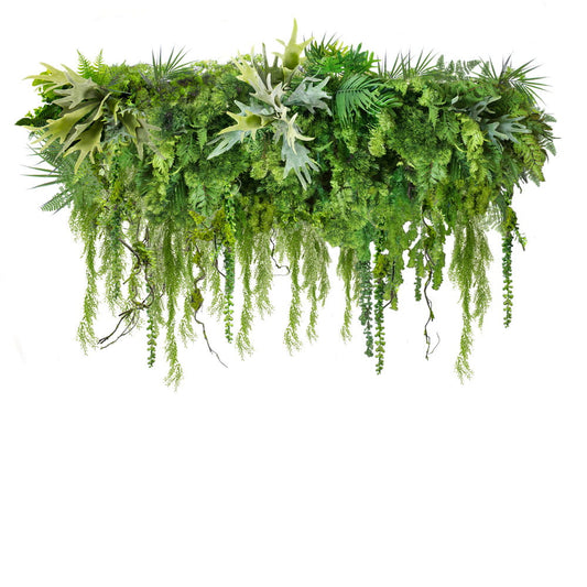 Takring  Forest Scent S-Ø50cm