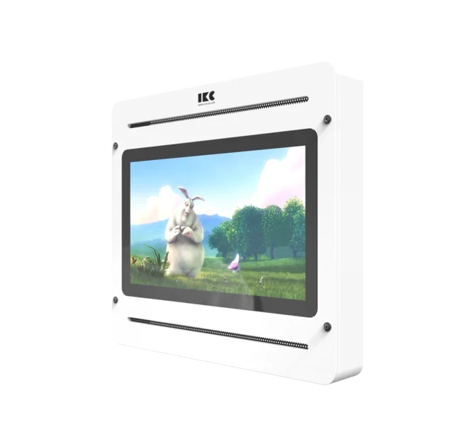 Delta 21 inch TV - IKC