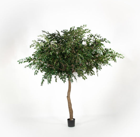 Kunstig ficus umbrella 400cm