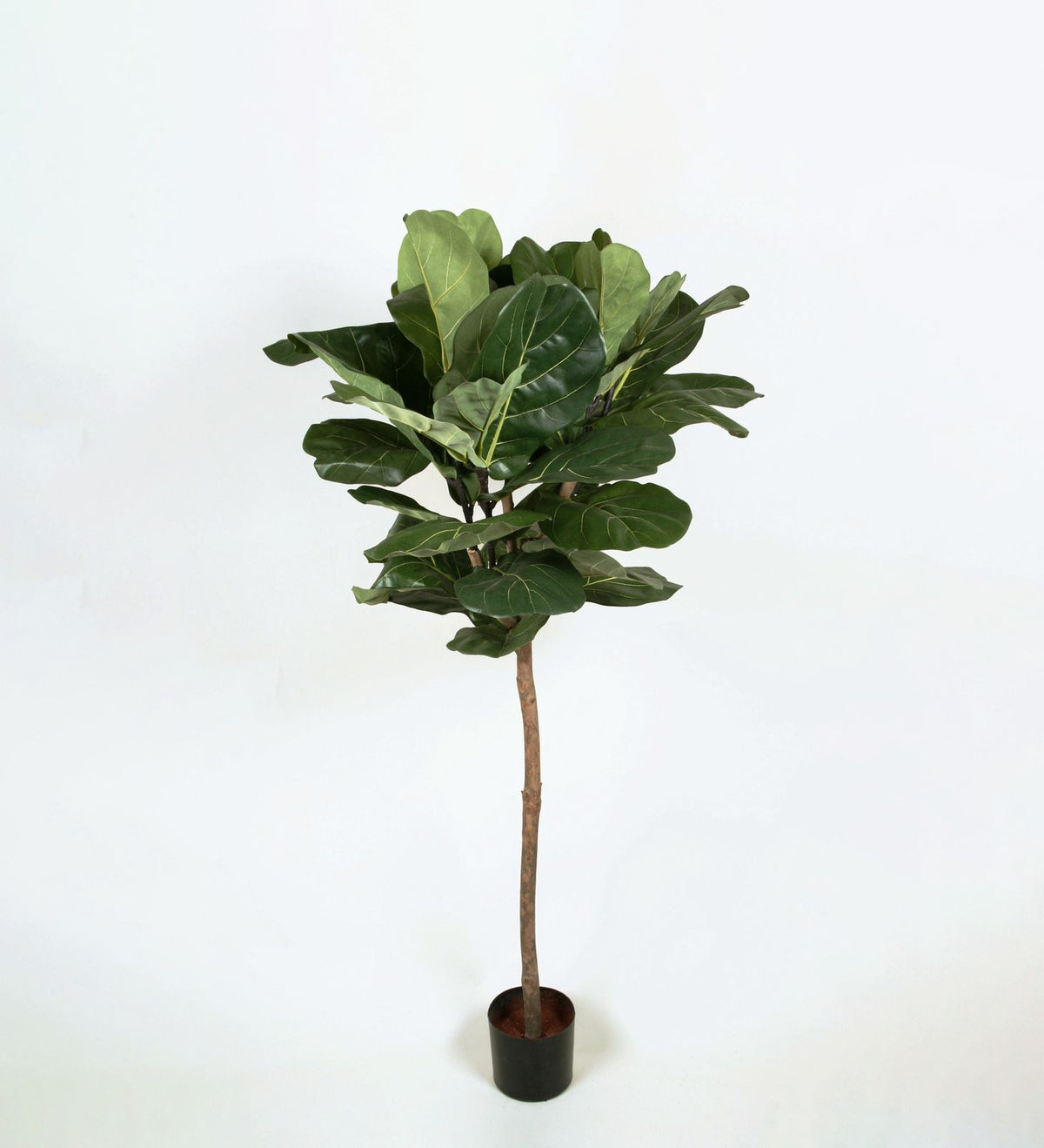 Kunstig fiolinfiken 140cm