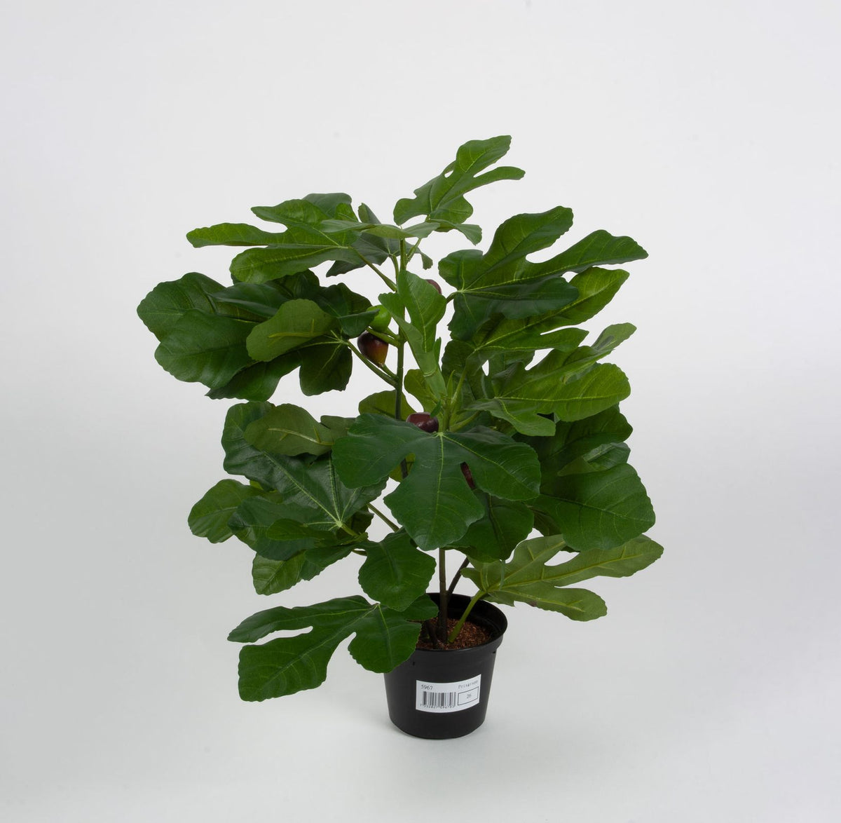 Kunstig fikenplante 39cm