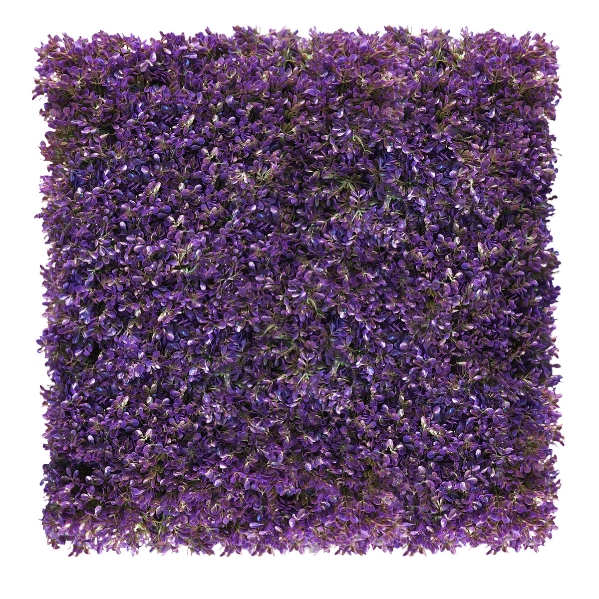 Kunstig Plantevegg Fuchsia Purple 50x50cm