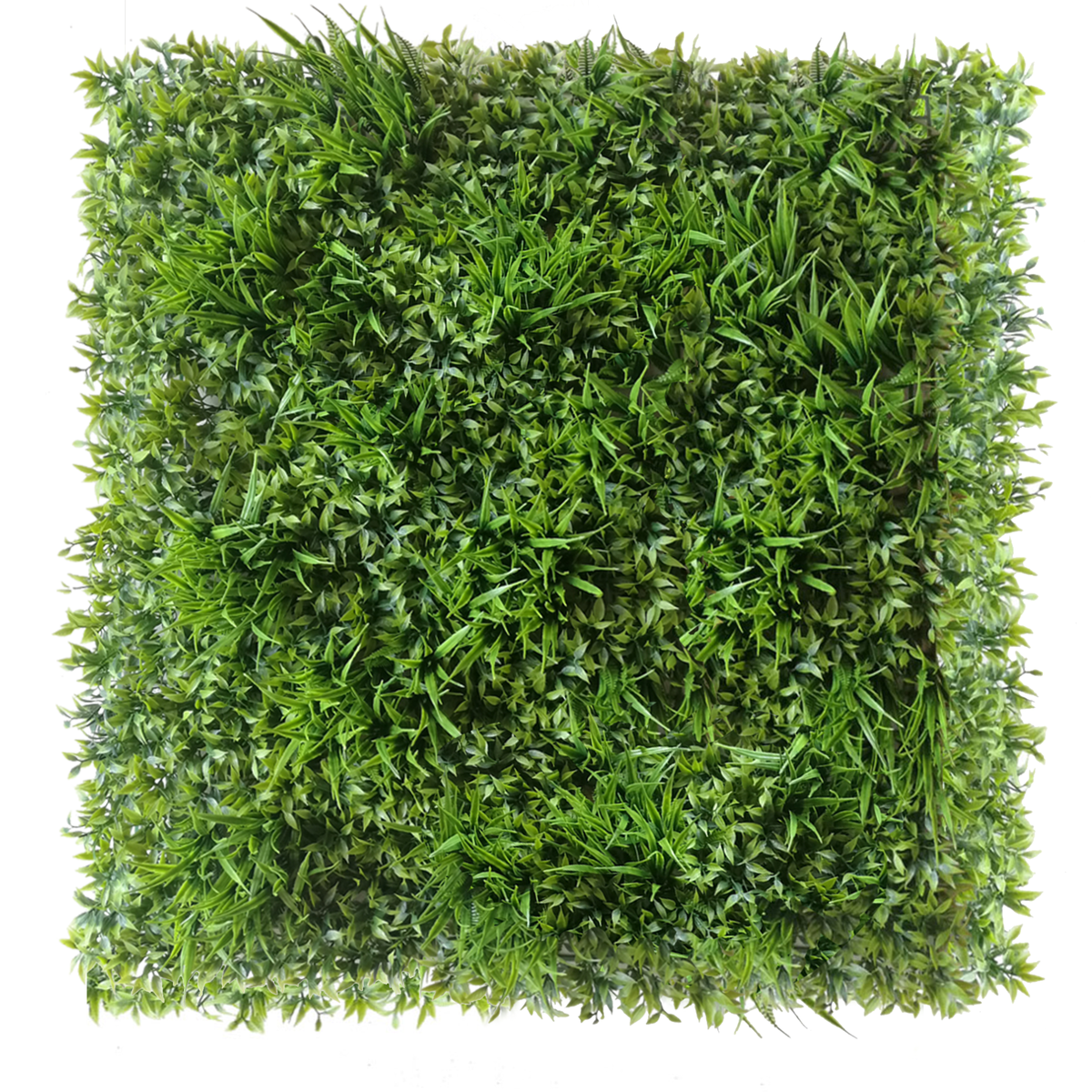 Kunstig Plantevegg Ruskus 50x50