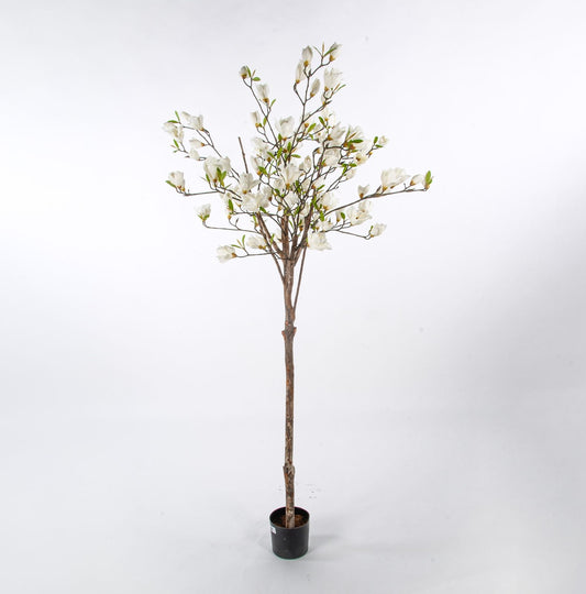 Kunstig hvit magnolia 180cm