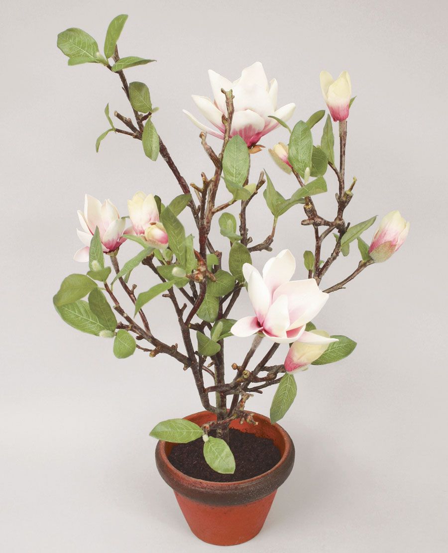 Kunstig magnolia 65cm