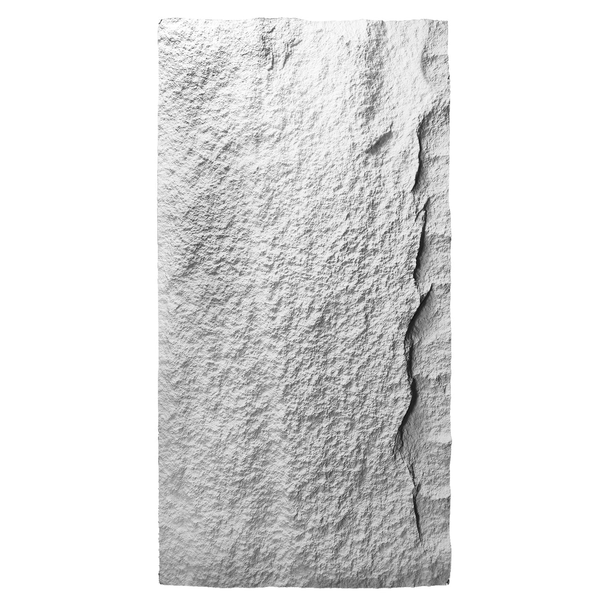 EVEREST S2 veggpanel 60x120 cm