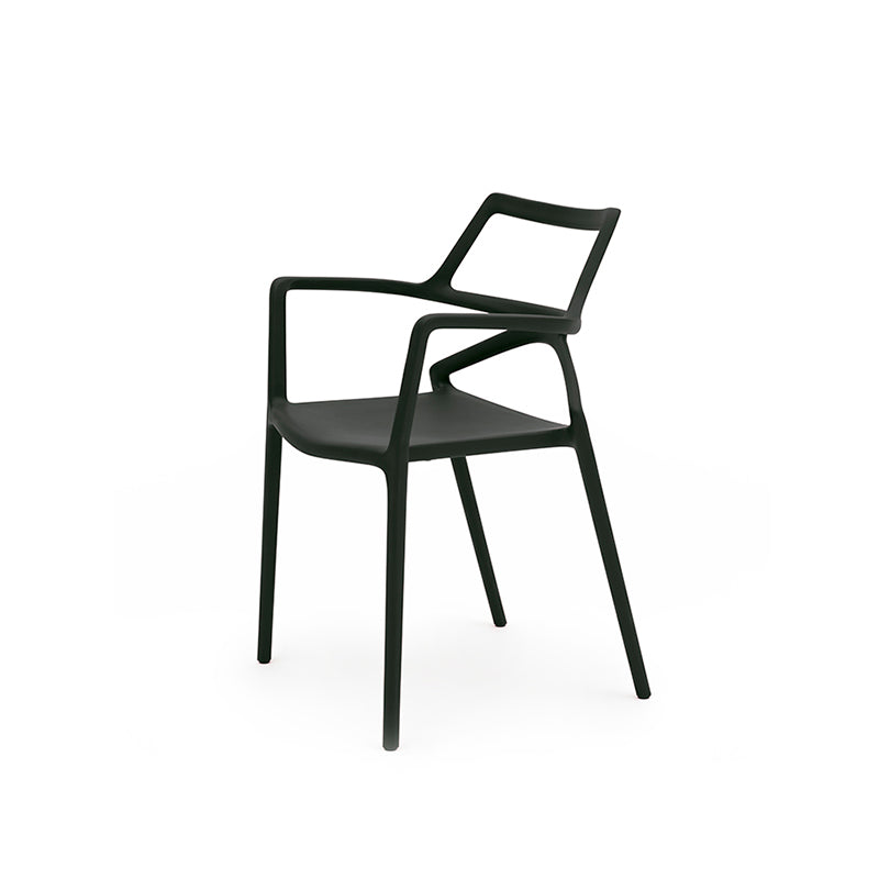 DELTA CHAIR with armrests image 1