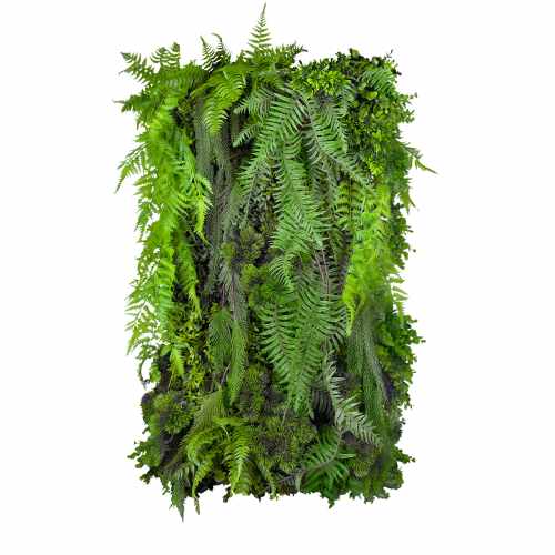 Kunstig plantevegg Fern Cacade 50x100cm
