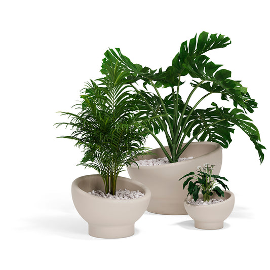 LUNA PLANTERS image 1