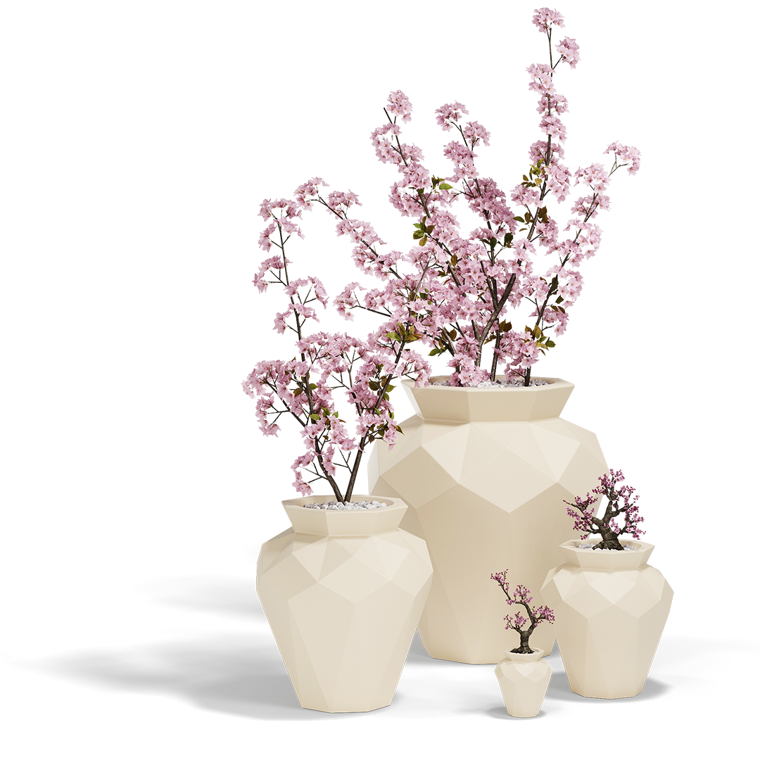 HANAMI image 1