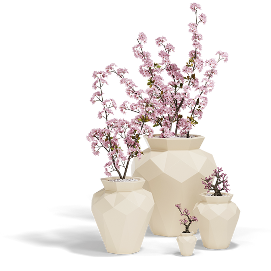 HANAMI image 1