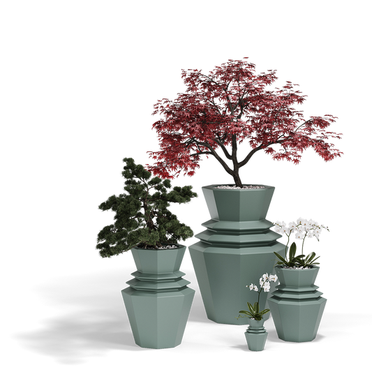 HINOKI image 1