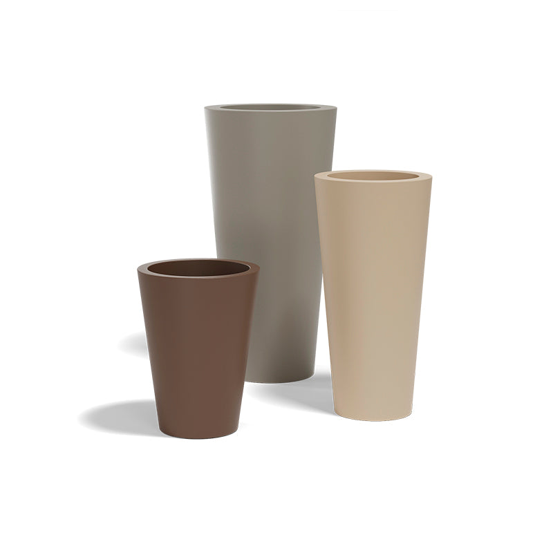 CONO image 2