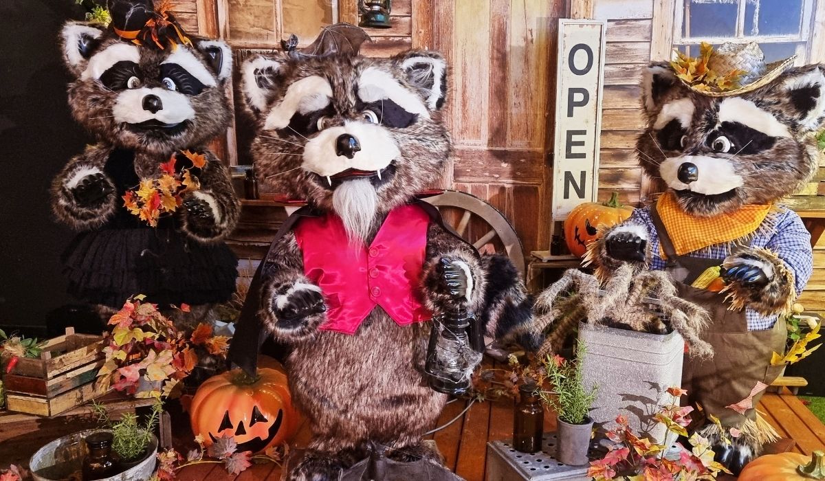 Vaskebjørnenes Halloween-band