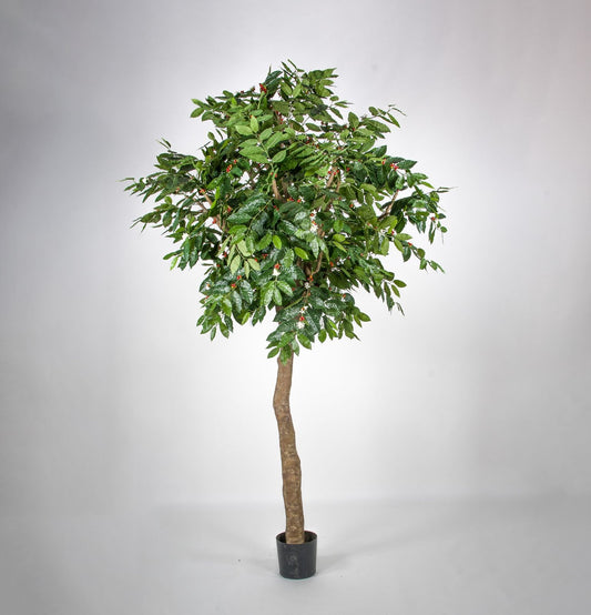 Kunstig kaffetre 270cm