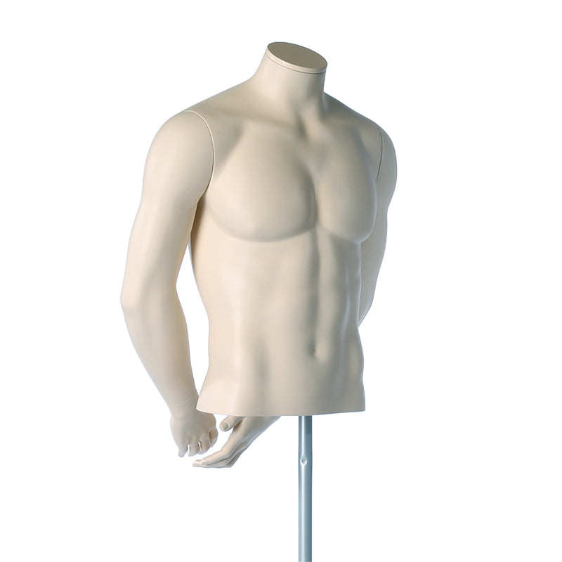 Darrol torso with arms behind back - short
