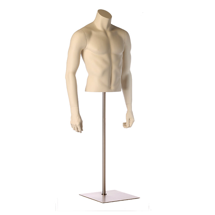 Male torso ivory Hindsgaul
