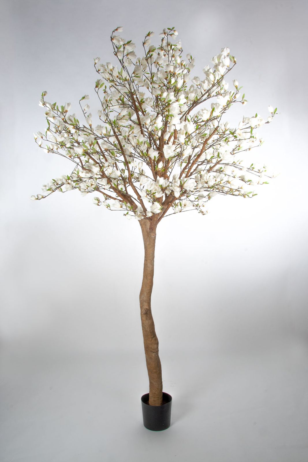 Kunstig magnolia 350cm