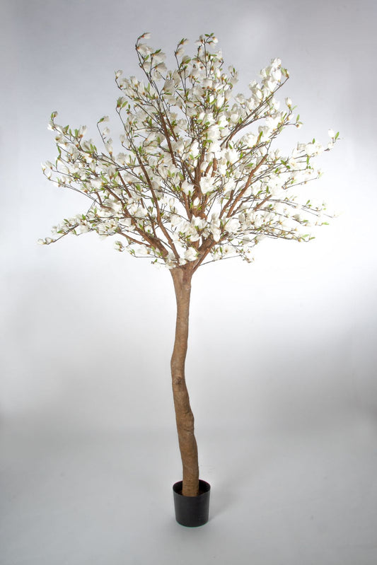 Kunstig magnolia 350cm