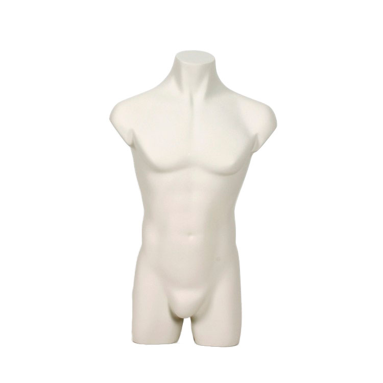 Darrol – male torso without arms