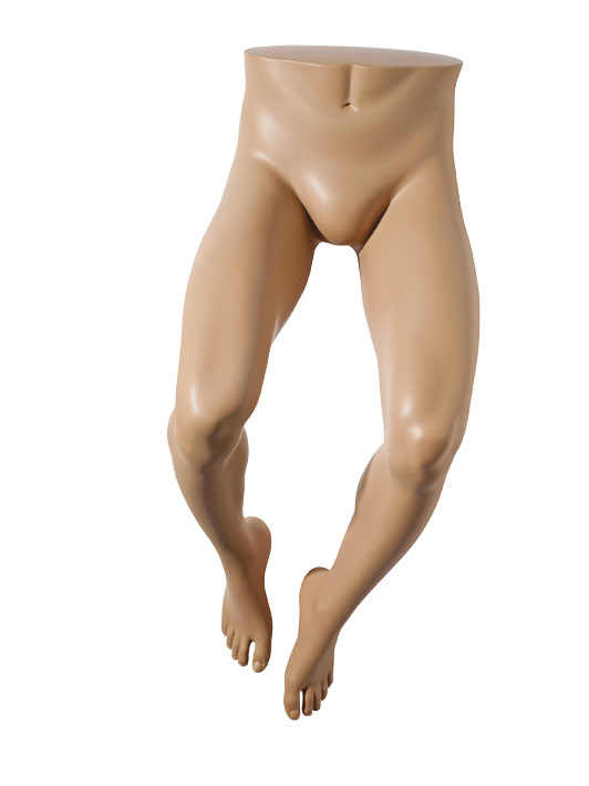 Hindsgaul – male leg form – hanging