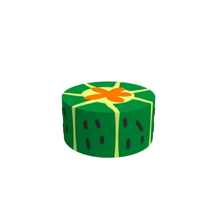 Softplay Cactus - IKC